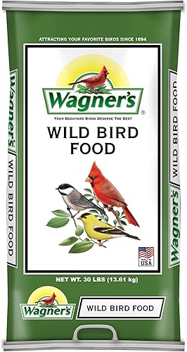 Miniatura 5 de Squirrel Buster Comedero estándar para pájaros a prueba de ardillas con 4 perchas de metal, capacidad de semillas de 1.3 libras, Garden Green &
