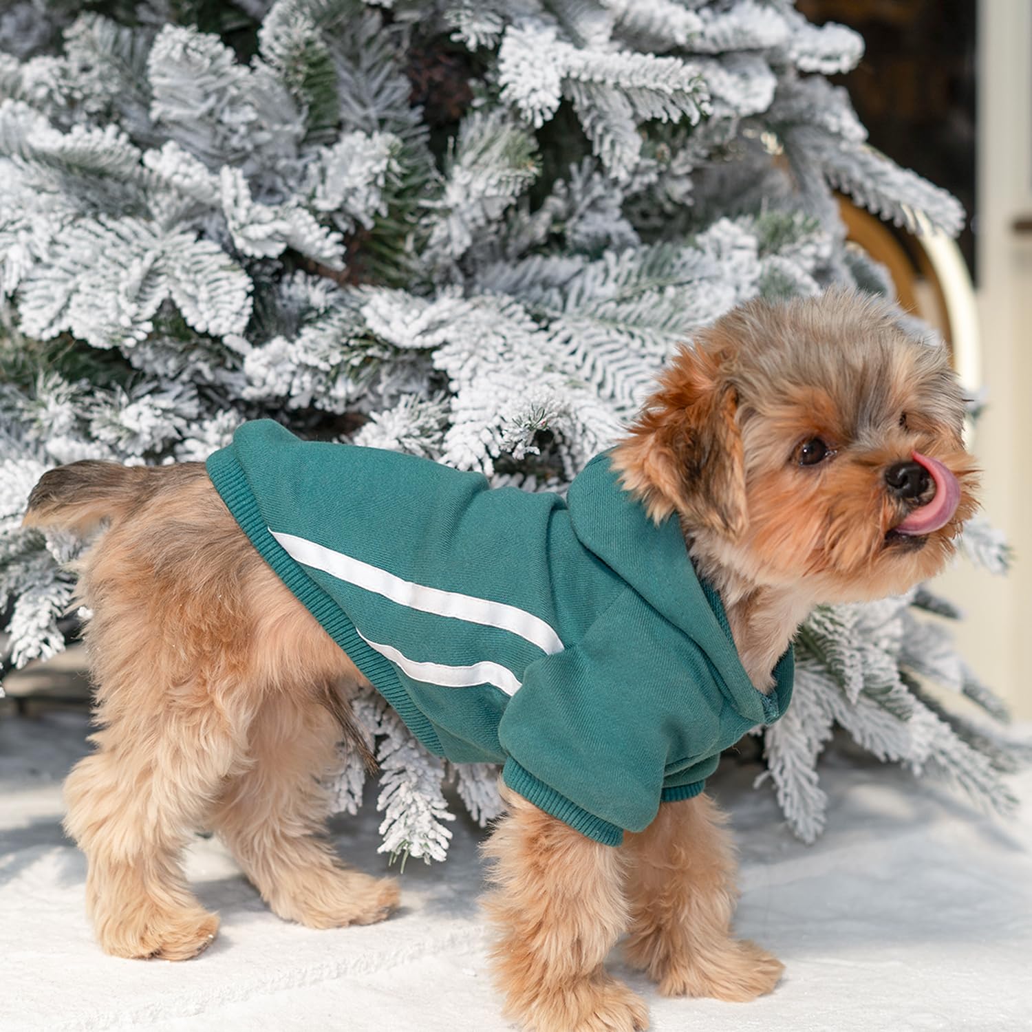 Dog Hoodie With Leash Hole - Pullover Sweatshirt for Small Dogs, Chihuahua, Yorkie, Teacup - Boy or Girl - Green S