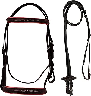 Equitem Leather English Fancy Stitched Padded Bridle with Matching Web Reins (Brown/Pink, Cob)
