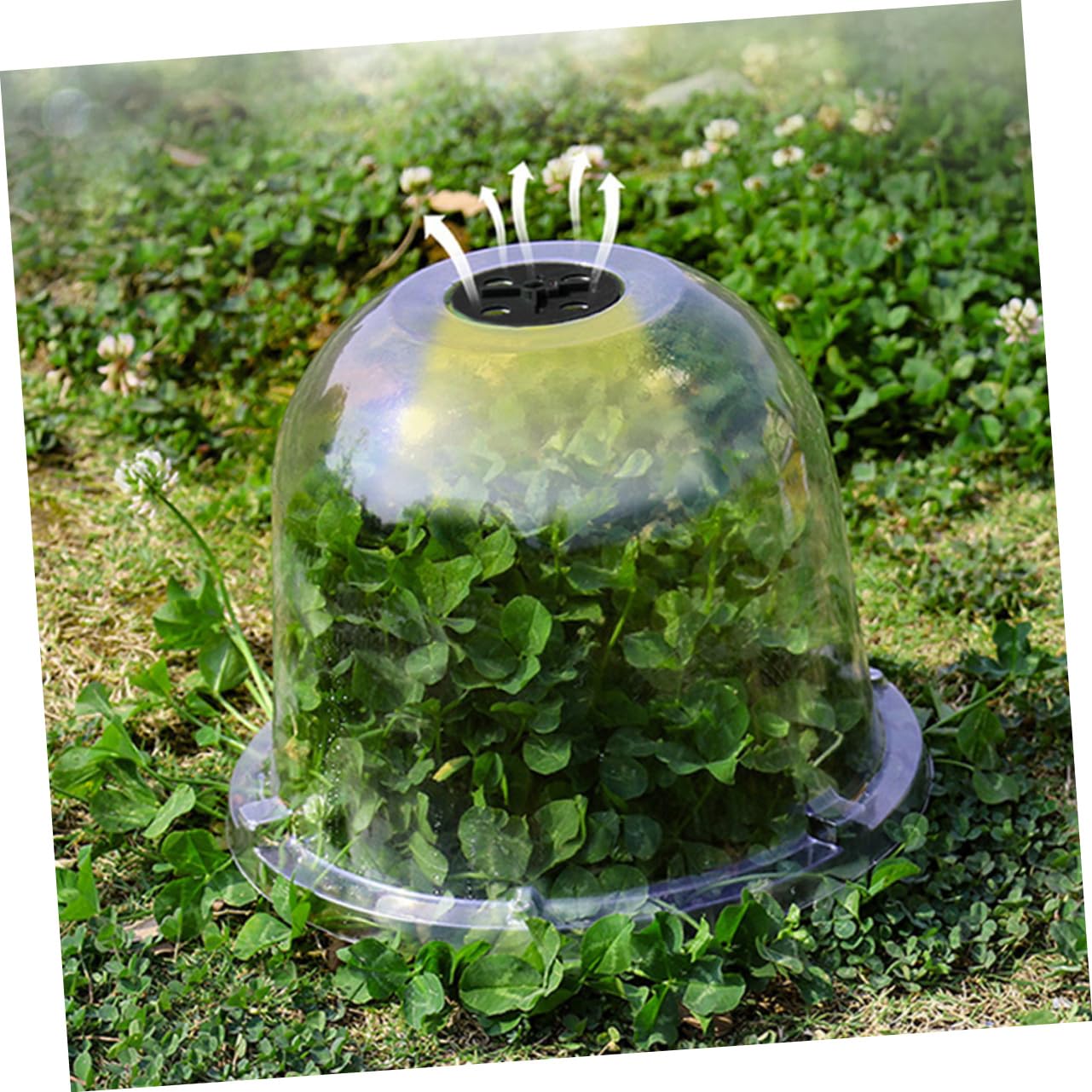 HANABASS 6 Pièces Cloche de Jardin Transparent pour Plantes Protection Gel et Humidité Couverture Domique pour Saine des Plantes pour Conditions Climatiques Variées