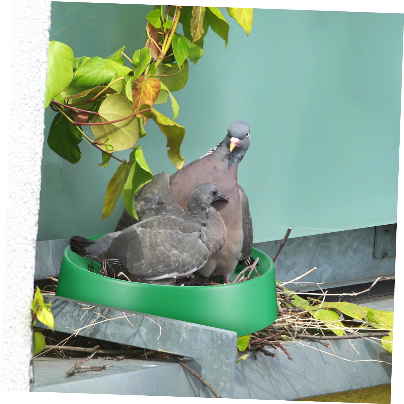 BESTonZON Lot de 10 de Pigeons à Œufs pour Oiseaux Accessoires Respirants et Lavables pour d'oiseaux Fournitures Maison Ferme