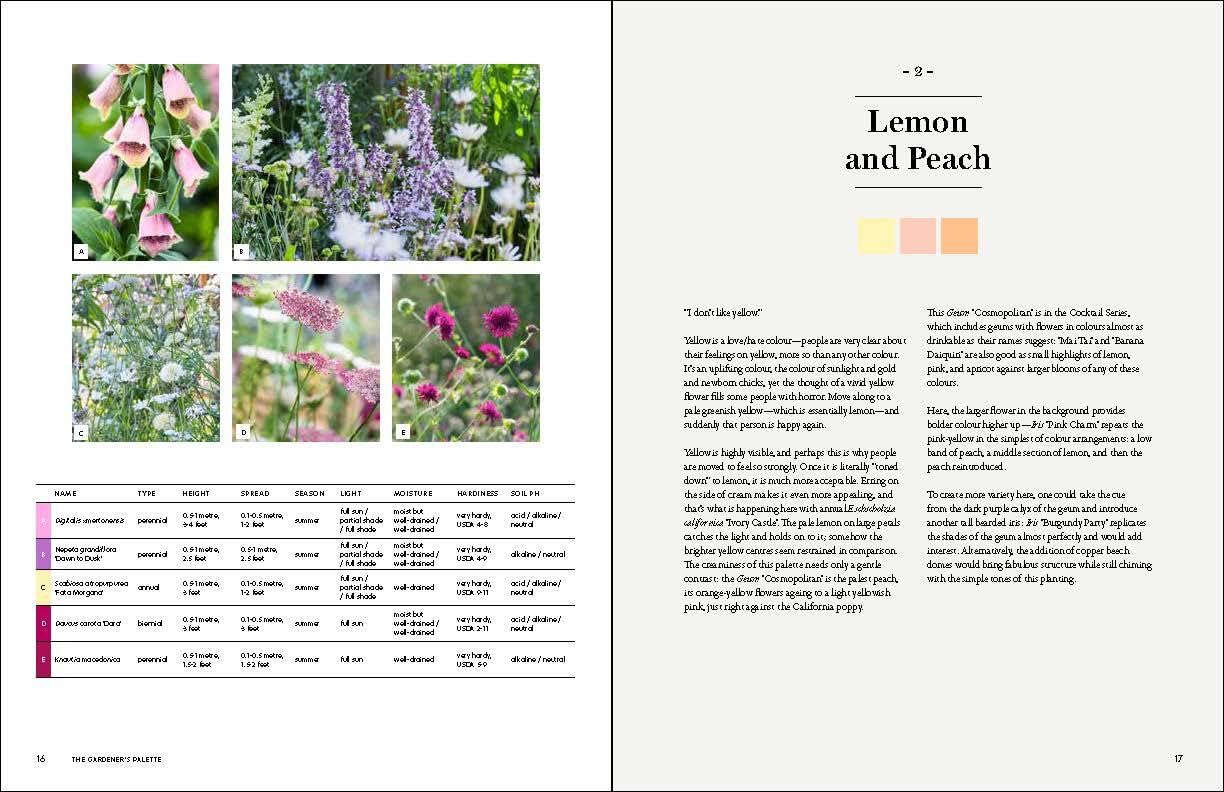 The Gardener's Palette: Creating Colour Harmony in the Garden
