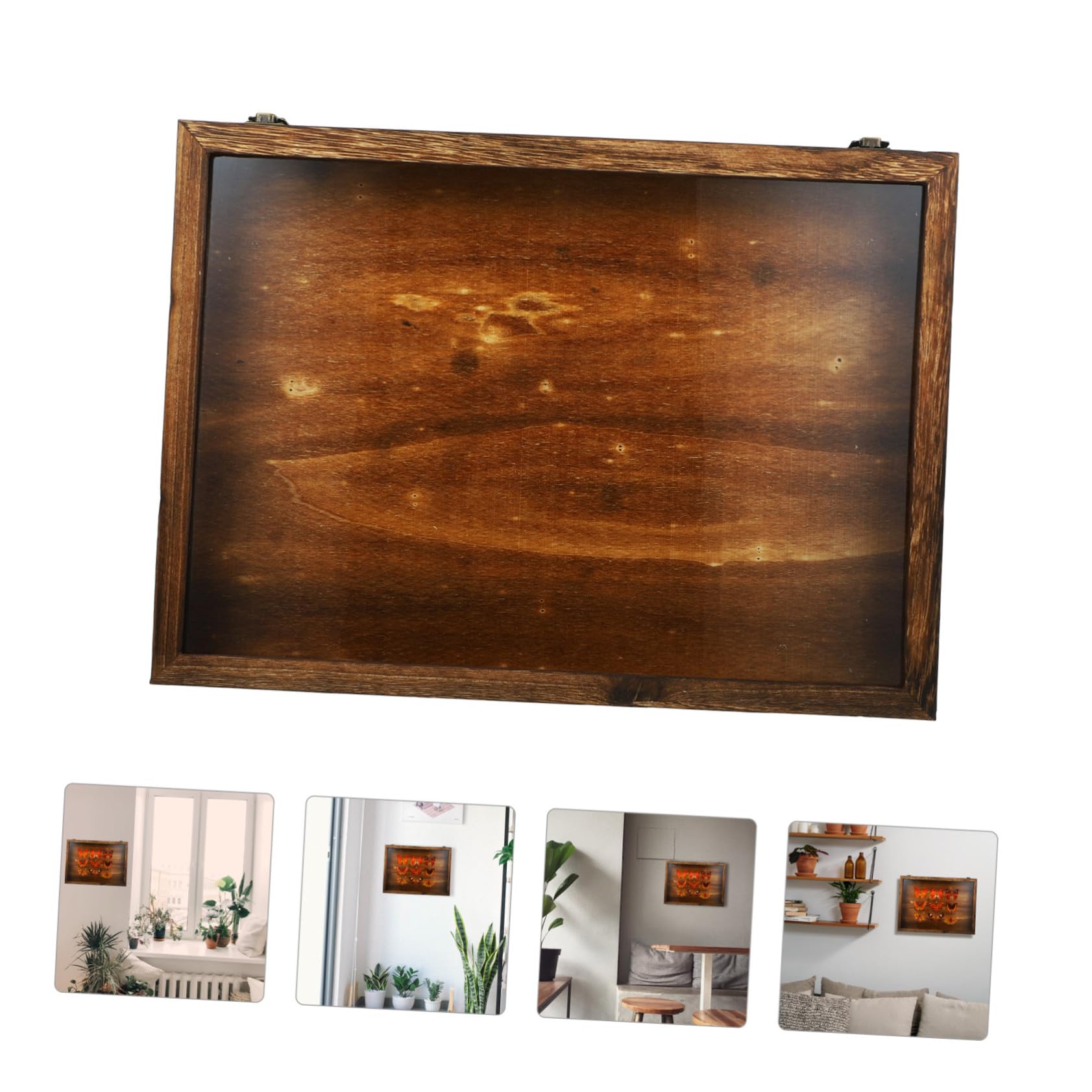 SOLUSTRE Teca per Campioni di Insetti in Legno Marrone con Coperchio Trasparente per Esposizione e Conservazione Scatola Vintage di Farfalle e Insetti da Appendere
