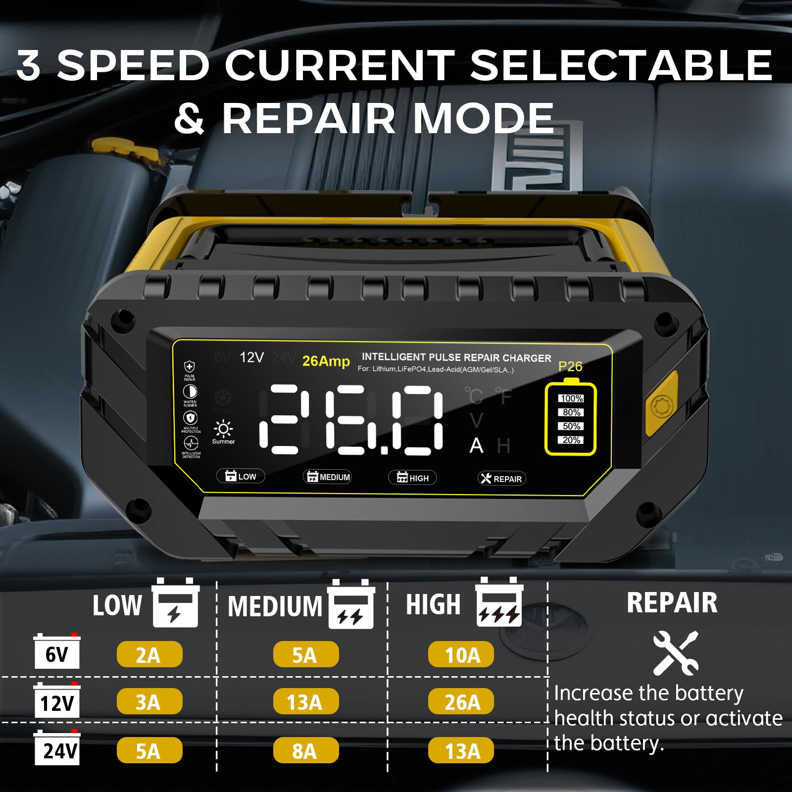 Caricabatterie da 26 Amp, 6 V/12 V/24 V al litio LiFePO4 al piombo acido, caricabatterie intelligente per auto, SUV, moto, barca, tosaerba