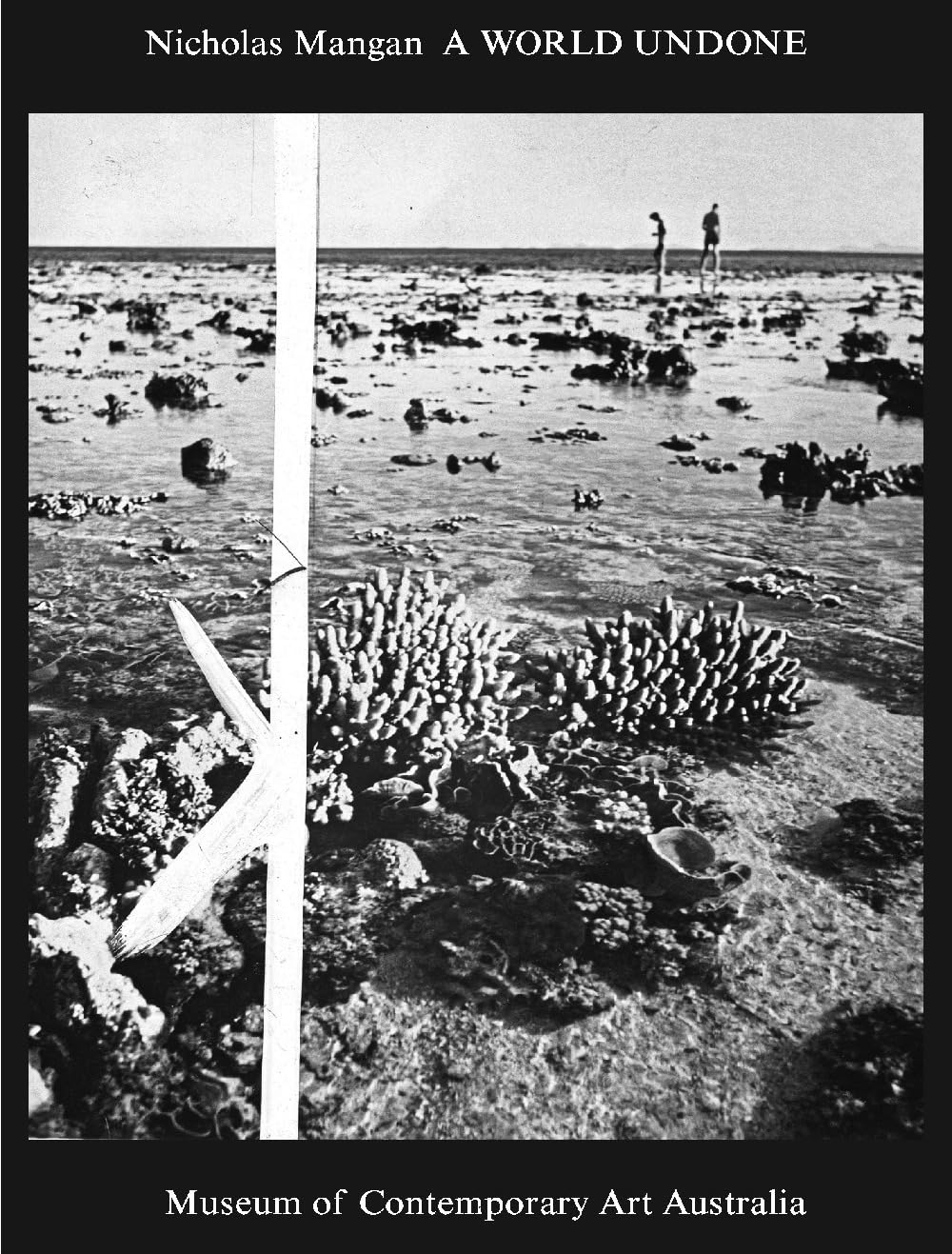 Nicholas Mangan - A World Undone Beau Livre Broché Beaux-Arts MCA