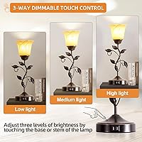Vista 4 de Lámpara de mesa con control táctil con 2 puertos de carga USB, lámparas de mesita de noche regulables de 3 vías, pantalla de vidrio ámbar, lámpara