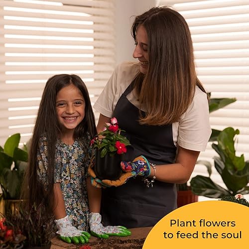 Miniatura 2 de Bees & Buds Macetas de pared para plantas de interior, maceta para suculentas para colgar en la pared, decoración de pared, soporte para colgar