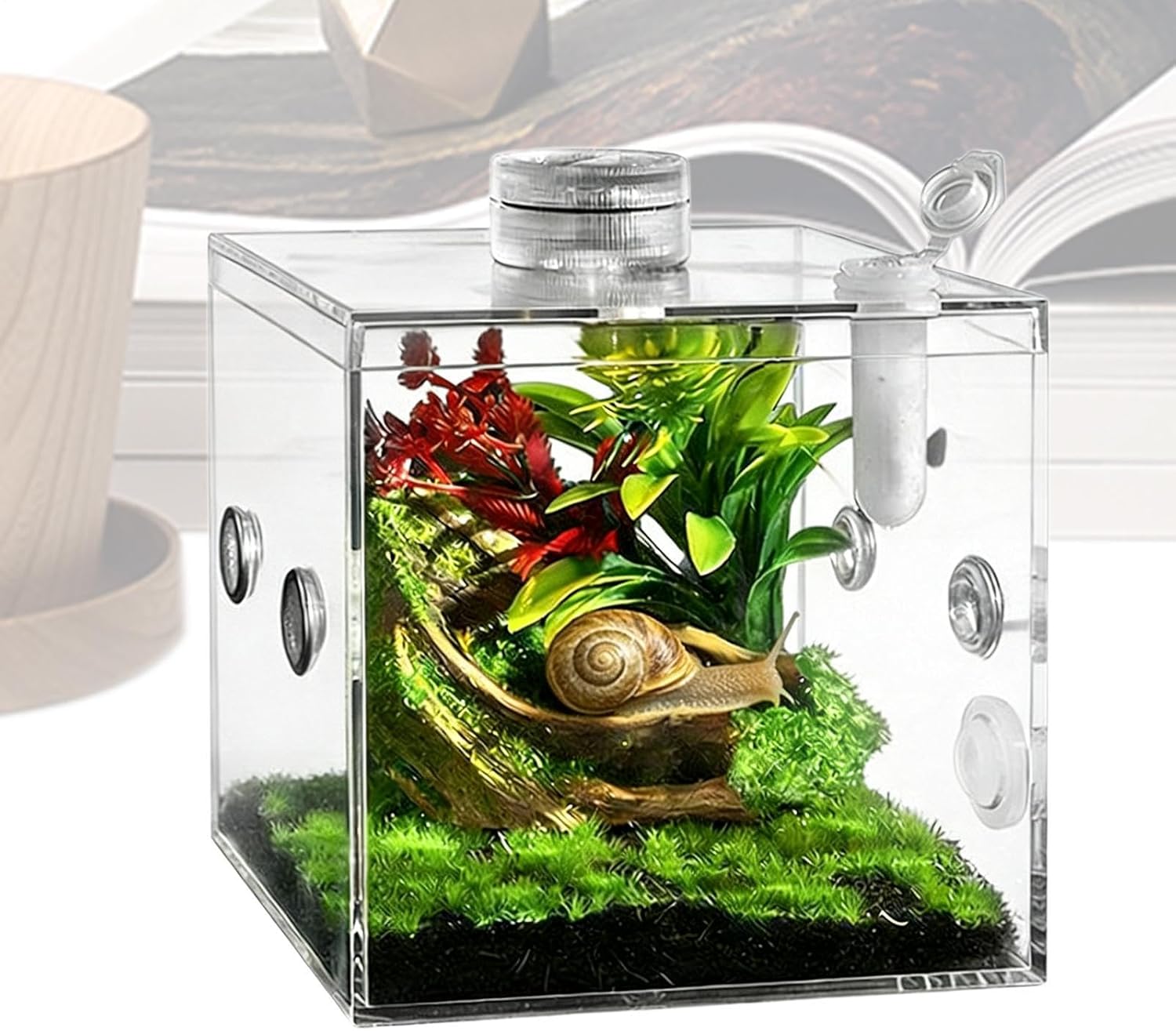 Small Reptile Enclosure | Clear Pet Breeding Box - Praying Mantis Enclosure - for Snail Mantis Lizard Small Animal Praying Home Indoor