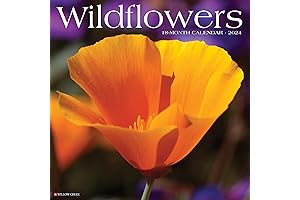 Vibrant Wildflowers 2024 Wall Calendar: Capture Nature's Beauty Year-Round