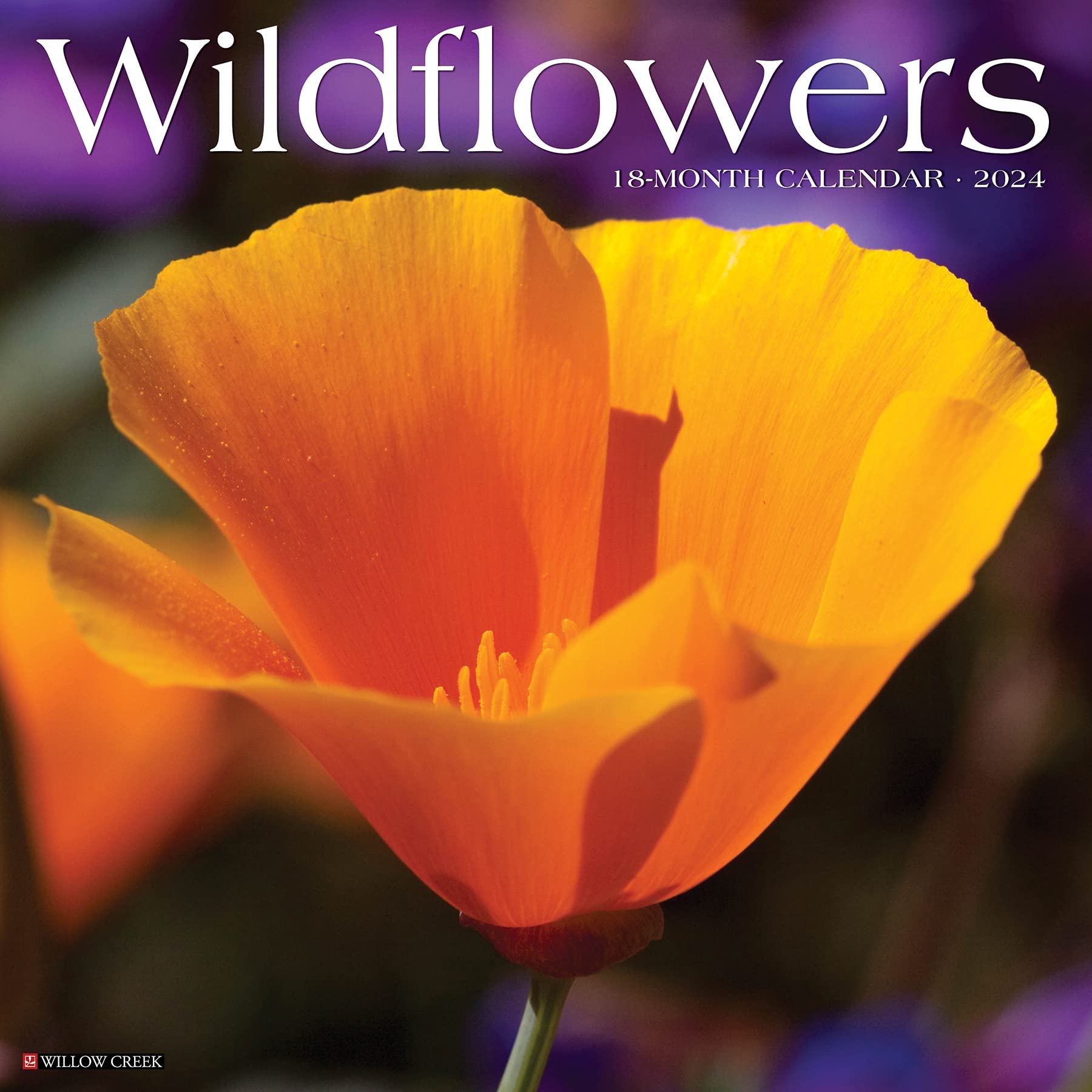 Willow Creek Press Wildflowers Monthly 2024 Wall Calendar (12" x 12")