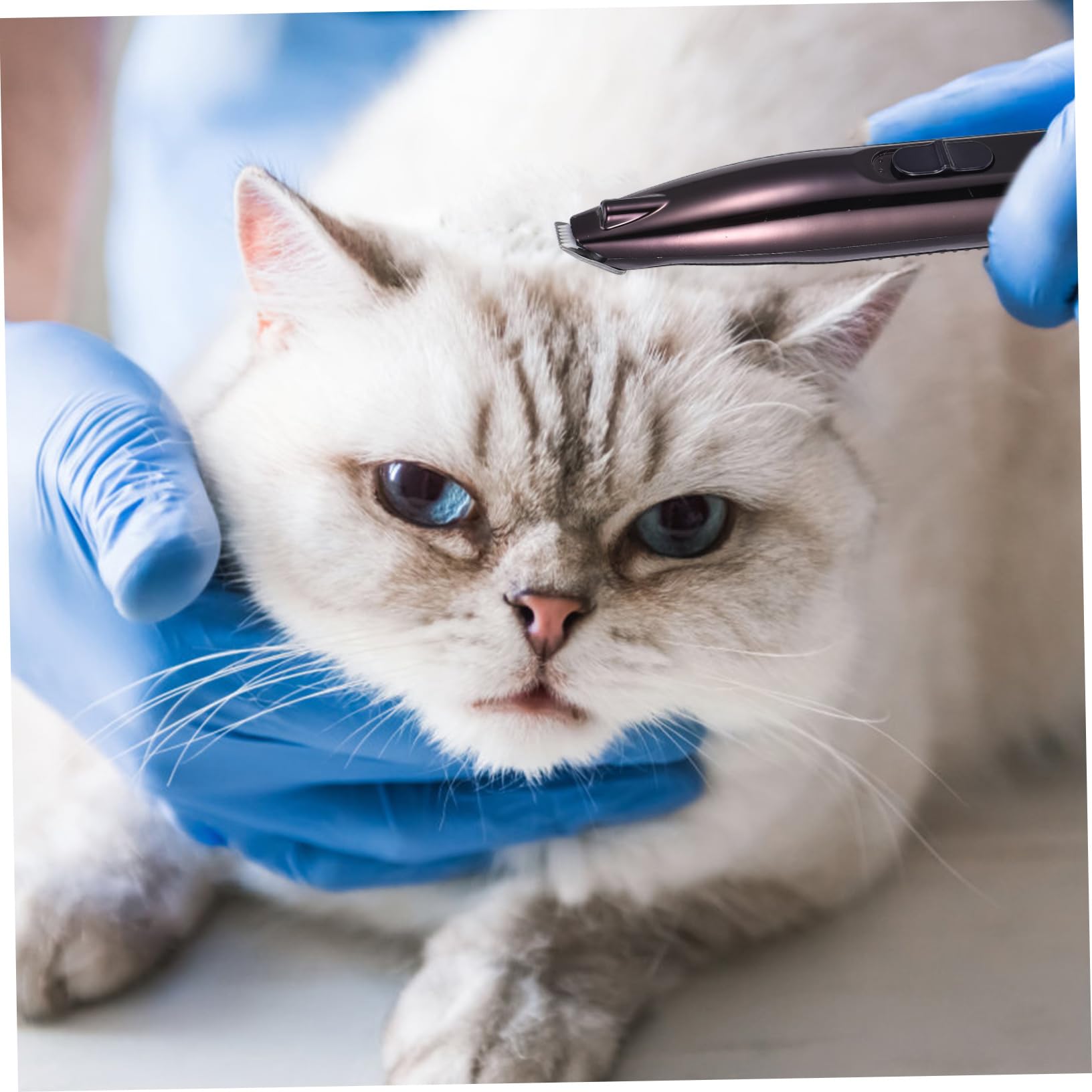 Tagliacapelli Elettrico per Peli Zampe Cane e Gatto, Nero