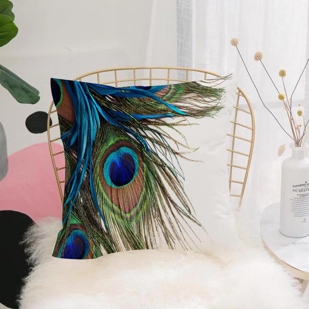 Hyosxw Peacock Feathers, Exquisite, Blue, Green And - A3 Cushion Cover,Throw Pillow Case Home Decorative For Living Room Bedroom Sofa Chair 18X18 Inch,Peacock Feathers, Exquisite, Blue, Green And Brown Eyes Of Peacock Feathers, On,Pillowcase 45X45cm
