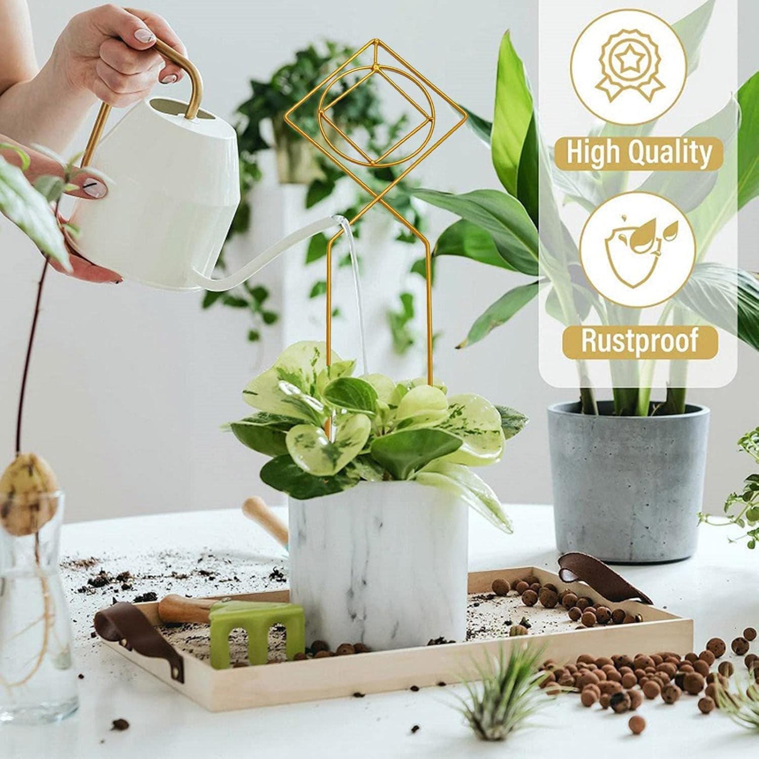 今季ブランド 屋内鉢植え用トレリス 鉢植えの屋内トレリス アイビーローズキュウリクレマチスの屋内用ラントサポートステーク Datere Glm Co Il 今季ブランド 屋内鉢植え用トレリス 鉢植えの屋内トレリス アイビーローズキュウリクレマチスの屋内用ラントサポートステーク Datere Glm Co Il