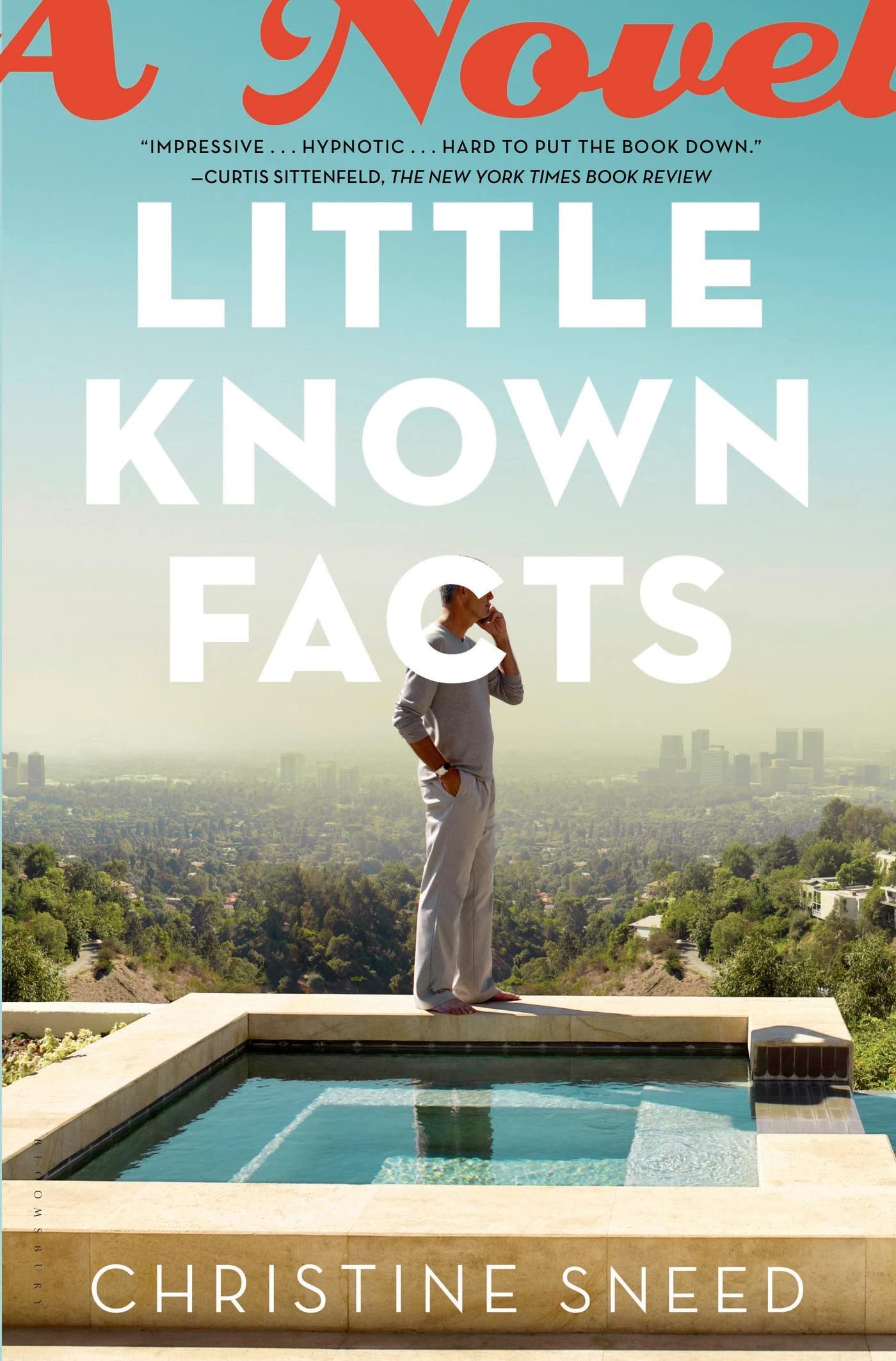 Little Known Facts: A Novel Sneed, Christine