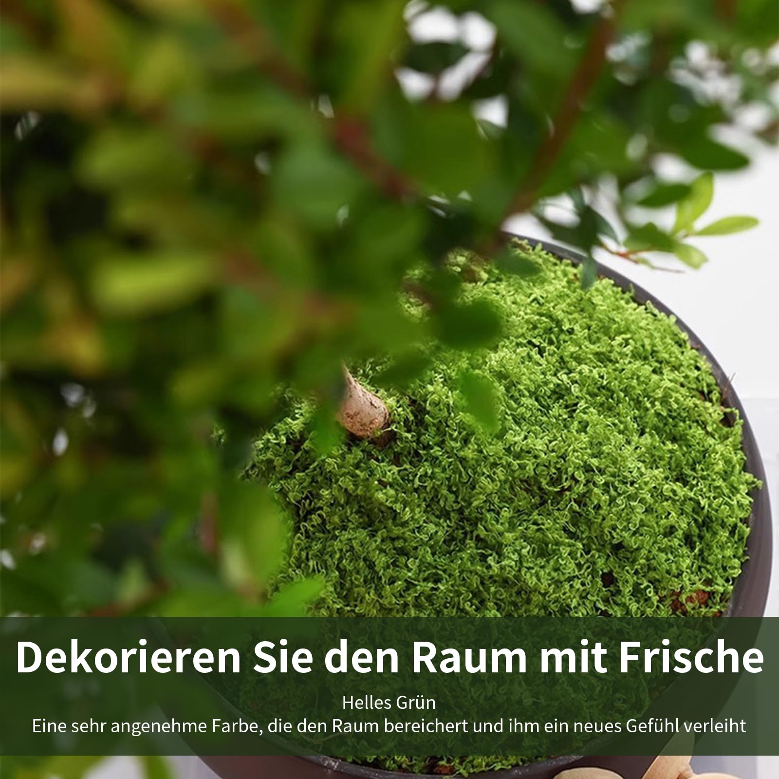Annyswit 150g Muschio Artificiale per Creazioni e Decorazioni, Muschio Finto con Attrezzi da Giardino, Decorazioni Muschi, Muschi Islandese, Creazioni, Modelli per Acquari e Presepi