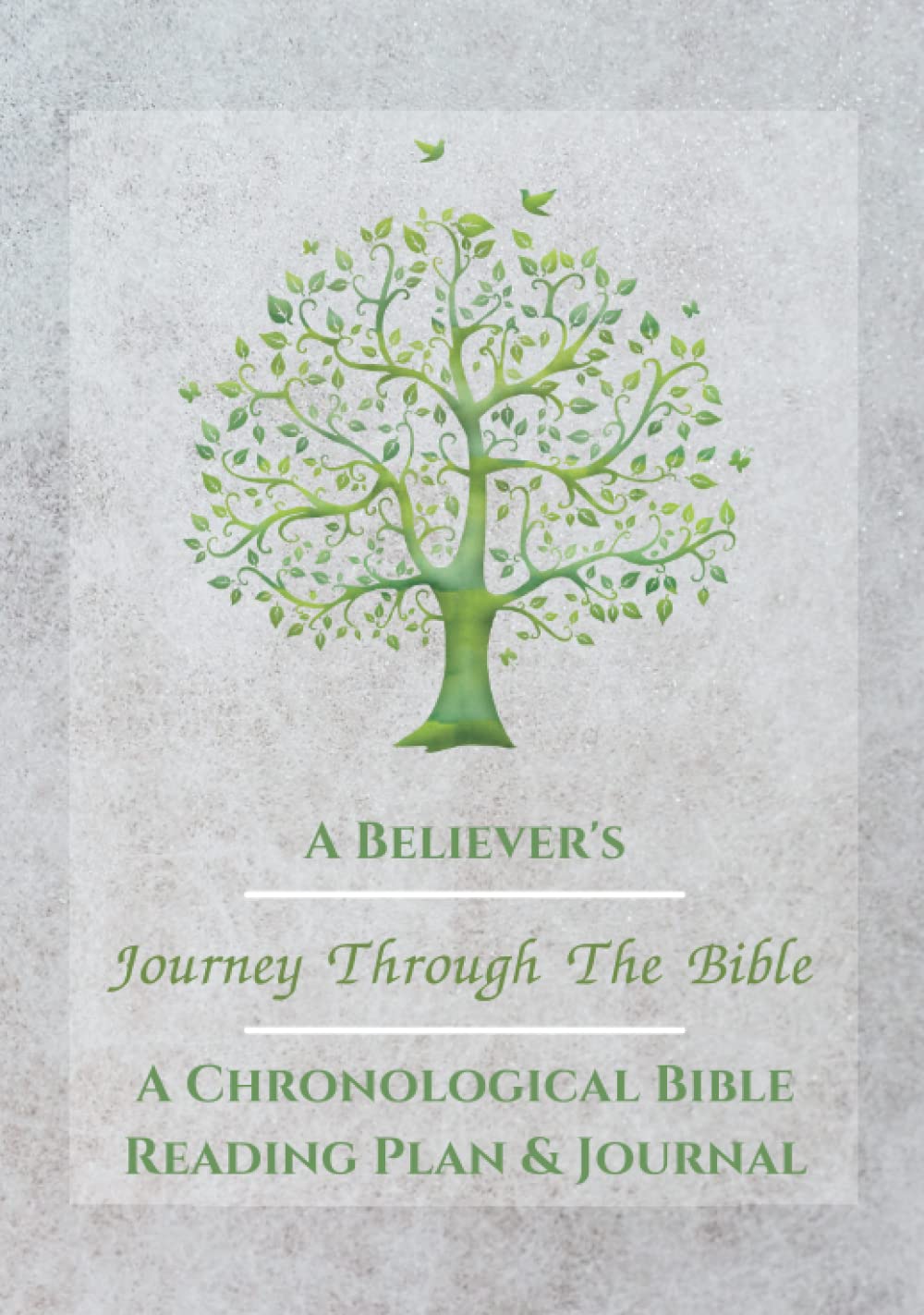 Buy A Believerโs Journey Through The Bible: A Chronological Bible