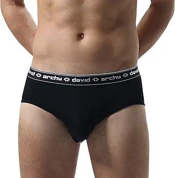 DAVID ARCHY Men's 4 Pack Micro Modal Separate Dual Pouch Briefs with Fly