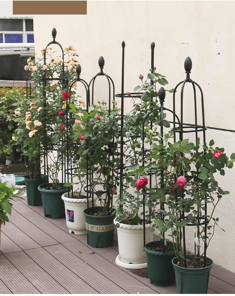 ガーデニング用支柱 スモールオベリスク 花 園芸用品 バラ 薔薇 オベリスクアーチ プランター おしゃれ 植木鉢 植物 鉢 簡単組立式 25 1cm 期間限定お試し価格