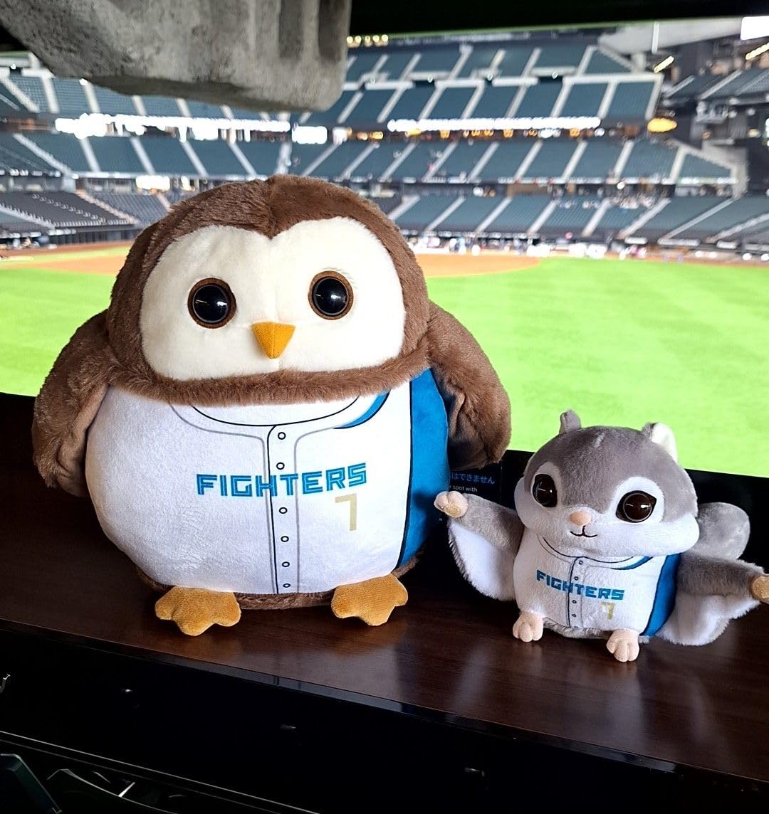 日本ハムファイターズ 動物ぬいぐるみくじ 特等フクロウ【伏見寅威】 Amazon.co.jp: ファイターズ 動物ぬいぐるみくじ 松本剛 2等