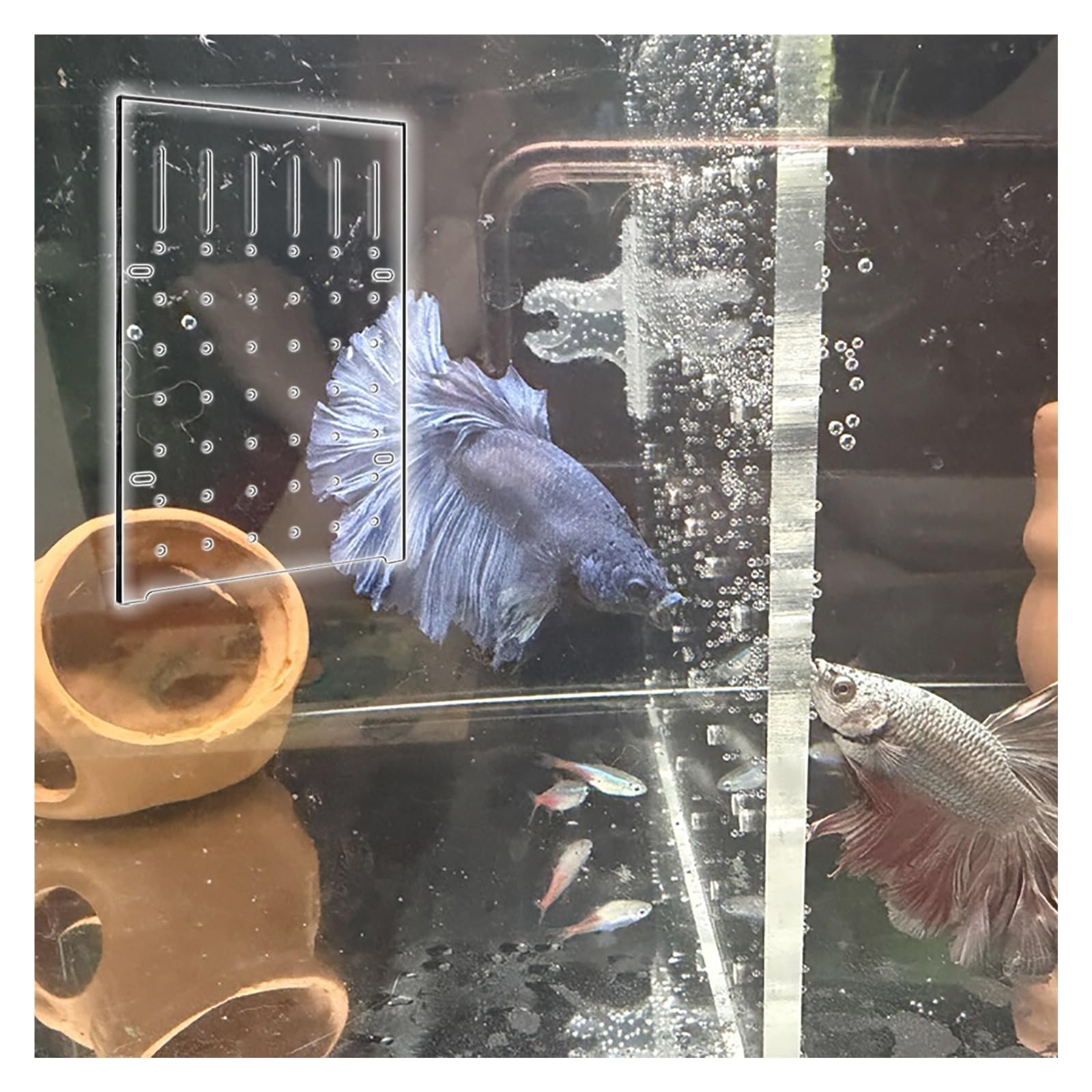 Séparateur d'aquarium en acrylique avec ventouses, épaisseur de 0,5 cm, séparateur multifonction pour aquarium