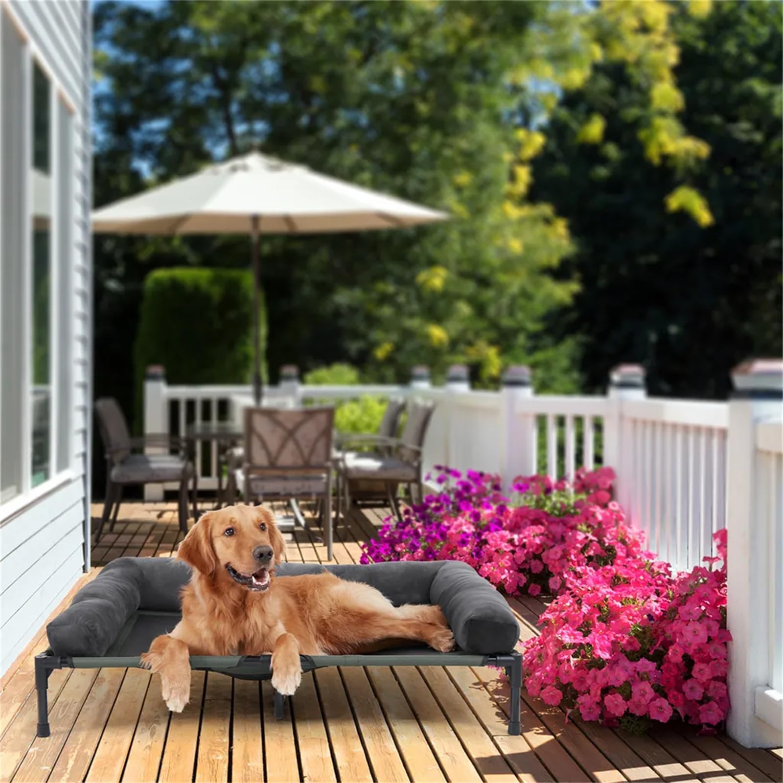 BingoPaw Cama Elevada Perro Grande XXL, Camas para Perros Grandes Elevadas Transpirable 110x80x18 cm Caseta Hamaca Perro Exterior con Borde de Cojín elevada y Manta de Felpa,Ideal para Todo el Año | Cama elevada para perros con borde, 110 x 80 x 18 cm