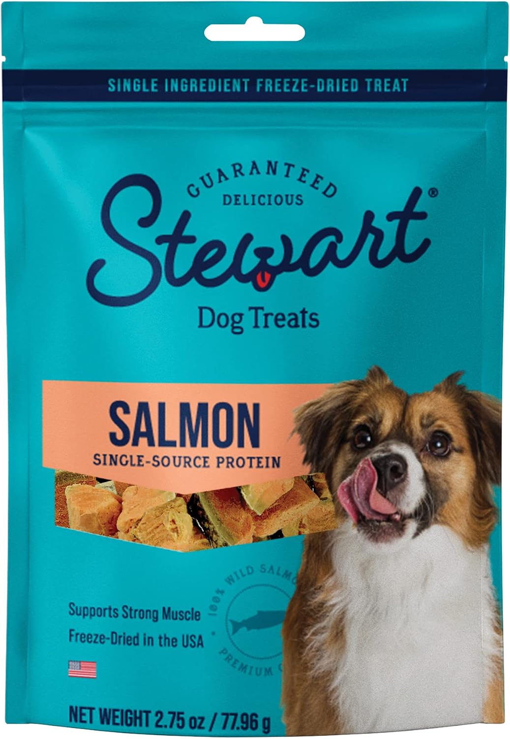 Stewart Freeze Dried Dog Treats, Wild Salmon, Healthy, Natural, Single Ingredient, Grain Free Dog Treat, Salmon Dog Treats, 2.75 Ounces,…