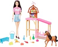 Barbie Toy Stable Playset with Fashion Doll, Small Pony & 10+ Accessories, Inspired Mysteries: The Great Horse Chase