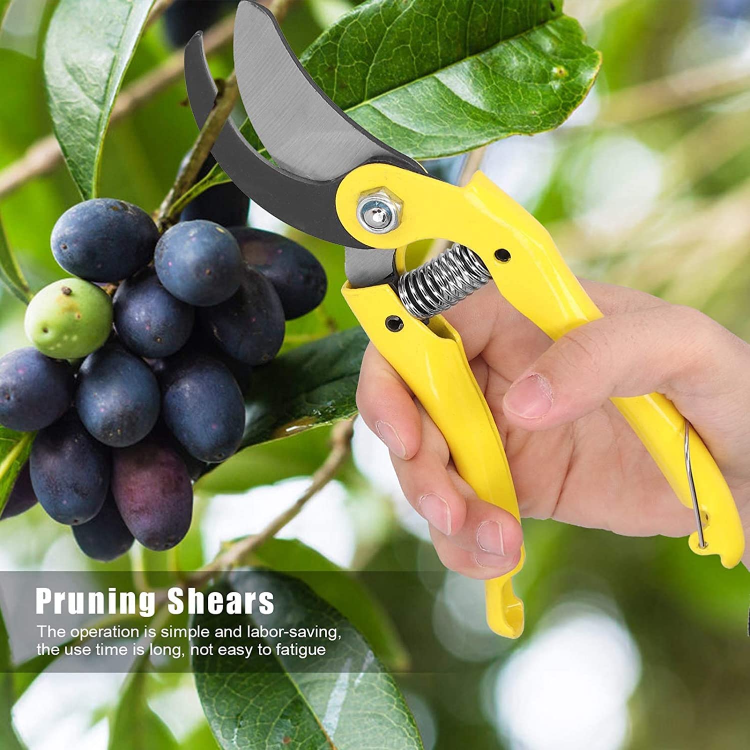 Forbici da potatura, Forbici Curve, Forbici da Giardinaggio multifunzionali in Acciaio Inossidabile per Agricoltori