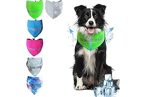 Cool Down Bandana: The Ultimate Summer Relief for Large Dogs