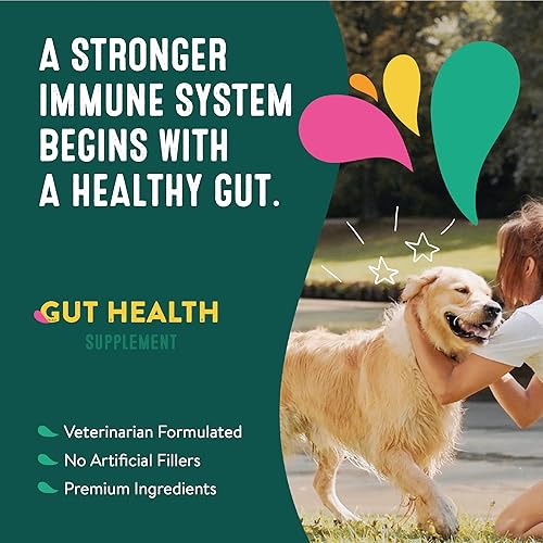 Miniatura 4 de Happy Go Healthy - Suplementos de salud intestinal para perros  Decoración de alimentos prebióticos y probióticos con raíz de jengibre, algas