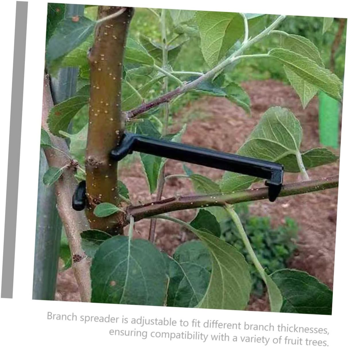 DOITOOL 100pcs Fruit Tree Branch Spreader Tool Supports for Training Fruit Trees Improve Growth Angle Sunlight Exposure Easy Installation for Garden Use