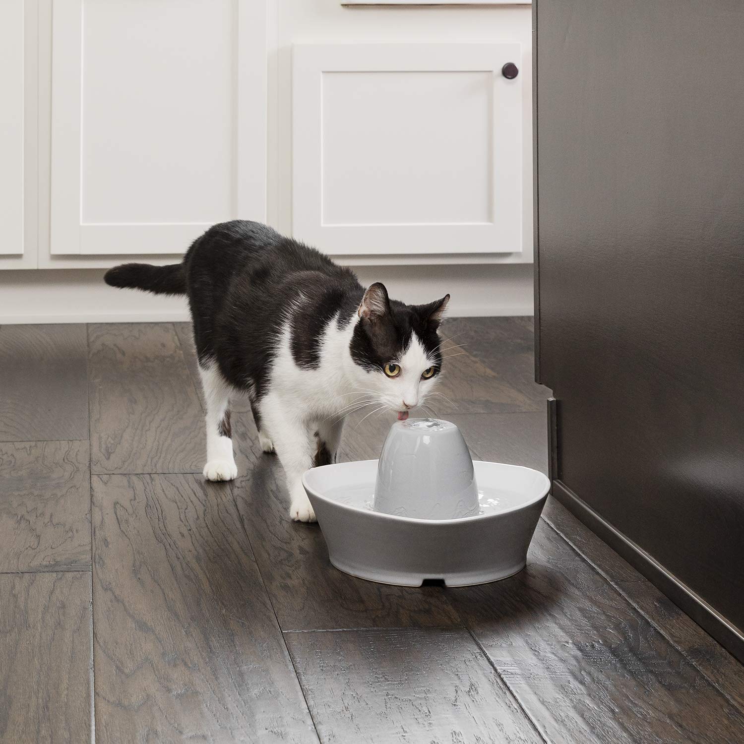PetSafe Fontaine en Céramique Bord du Ruisseau pour Animaux de Compagnie 1,8 L - idéal pour Chat et Petit Chien, silencieuse, Eau filtée, sans BPA, Encourage Les Animaux à Boire Plus