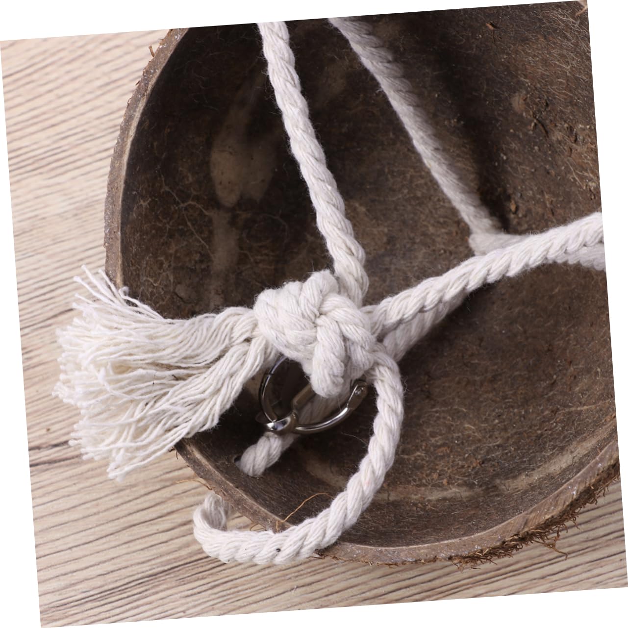 BESPORTBLE 3 Pièces balançoire Perroquet Porte-os de seiche la balançoire Jouer Petit Jouets balançoires nid de Perroquet Jouet en Bois Longue Fournitures pour Oiseaux Bambou