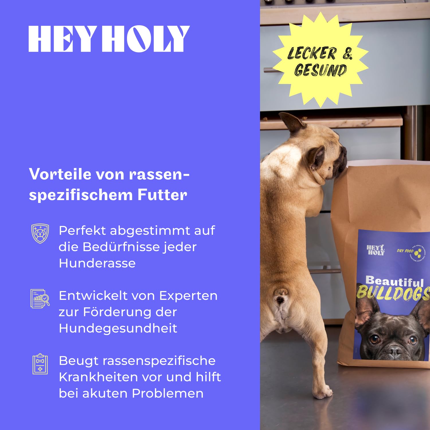 HEY HOLY Set 7 kg Premium Trockenfutter, 6 x 375 g Nassfutter & 1 x 200 g Snacks für Bulldoggen | 100% hypoallergen & getreidefrei | Hundefutter & Leckerlis für ausgewachsene Bulldoggen mit Lachs