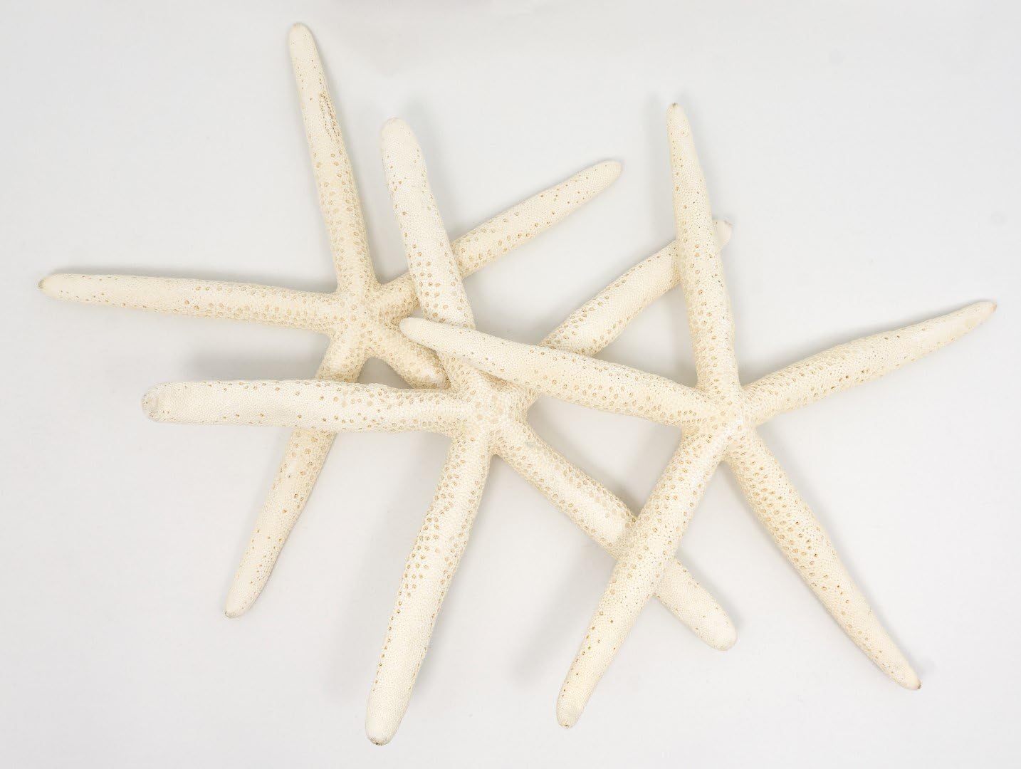 Starfish Decor - 3 Pack Large Star Fish 9-10 Inch - Starfish for Crafts - White Starfish Wall Décor - Beach Wedding Starfish - Beach Starfish Décor - Star Fish Decorations - Shells for Decoration