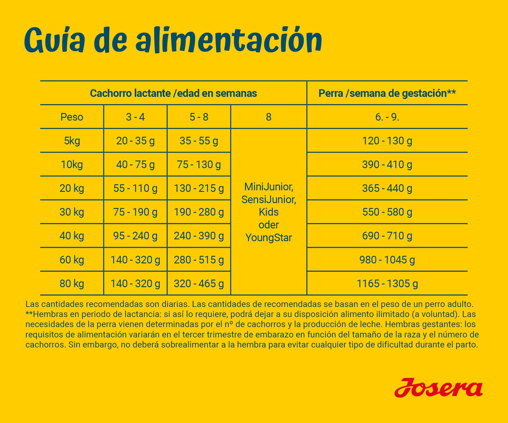 JOSERA Family Plus (1 x 12,5 kg) | Puppy | Comida Seca Premium para Perras y Cachorros preñadores/Lactantes | salmón y Aves de Corral | Suministro óptimo con Enegie y L-carnitina | Sin Trigo | 1