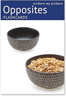 Picture My Picture Opposites Flash Cards | 40 Language Development Educational Photo Cards | Speech Therapy Materials, ESL Materials