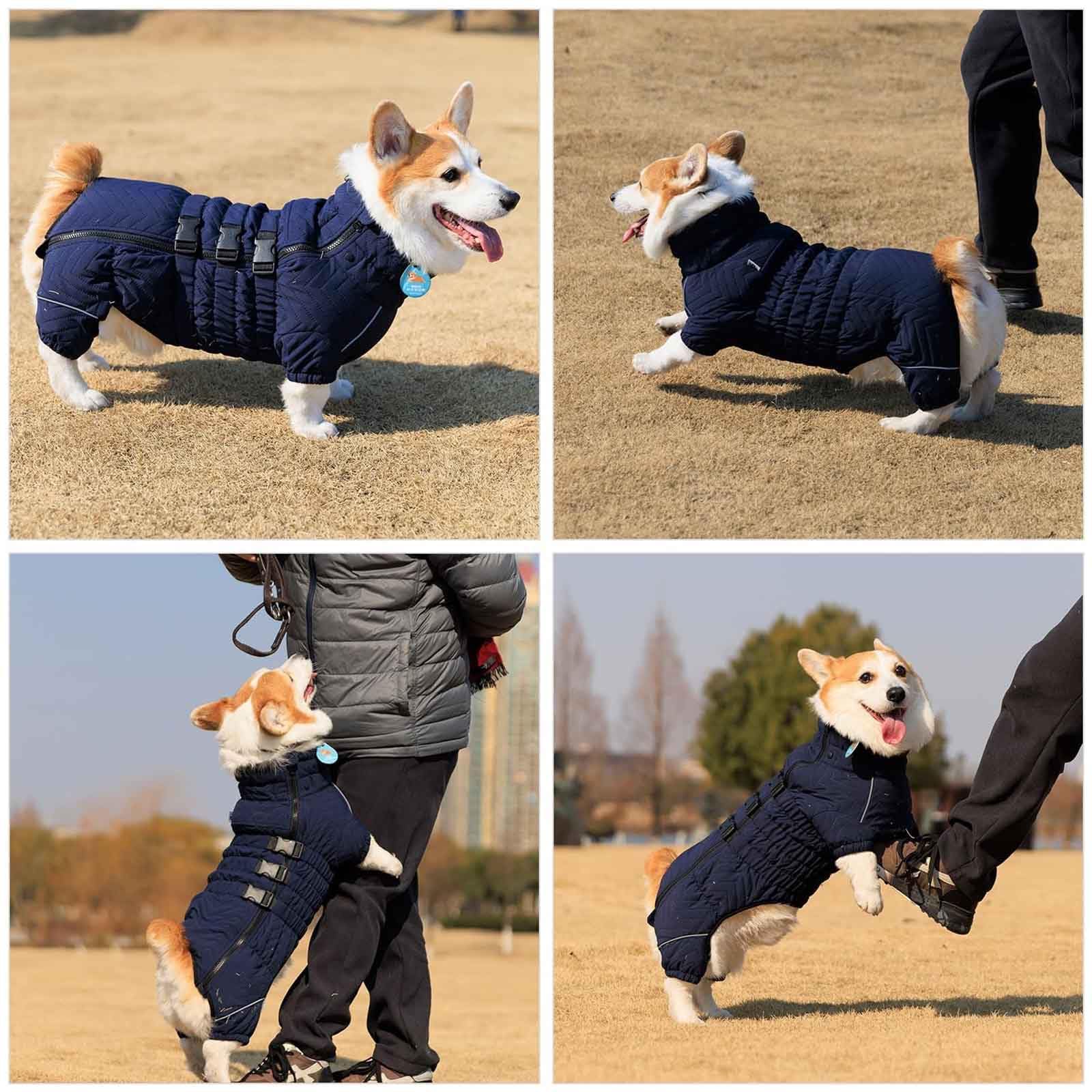 Hund Wintermäntel, Winddichte Hundeweste, Sehr Warm Für Den Winter Und Kaltes Wetter, Haustier Skifahren Kostüm Ärmellose, Für Kleine, Mittlere Hunde,Blau,XXL
