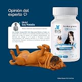 Ver la foto 8