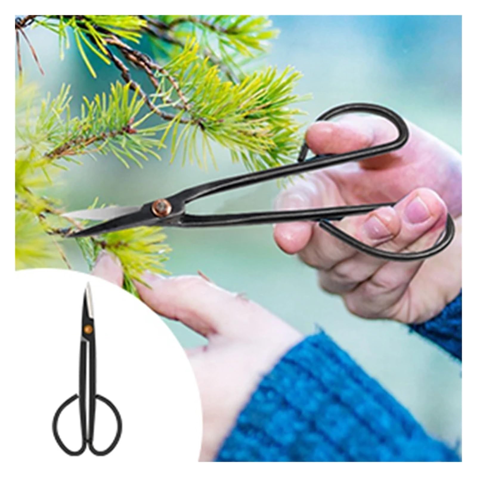 Kit d'outils de remplacement for bonsaï, 24 pièces, entretien de la forme des bonsaïs, jardinage, bonsaï, débutant, taille, kit d'entretien, sécateur