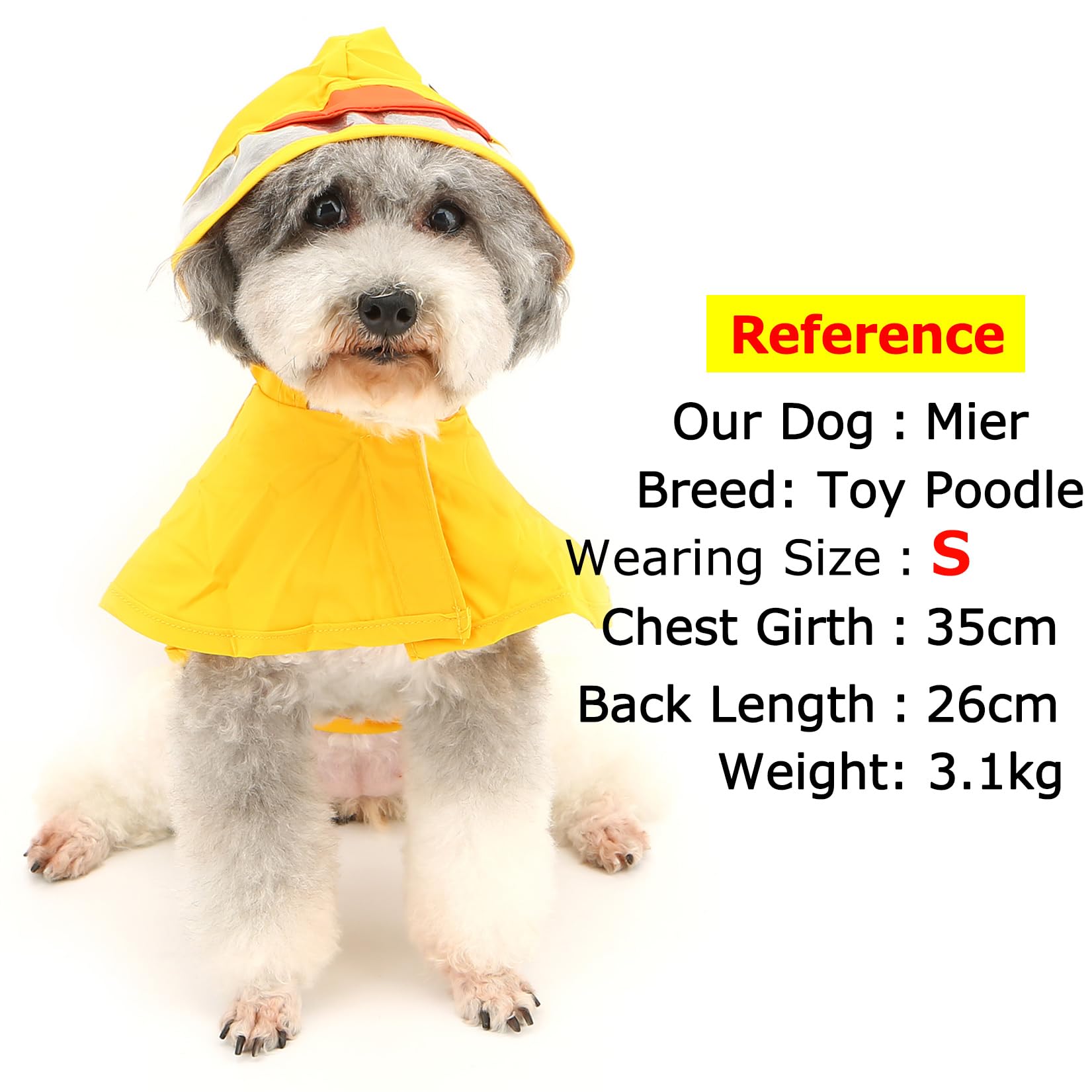 Cappottino Impermeabile Per Cani Riflettente - Taglia L Per Cani Di Media/Grande Taglia - Foto 3