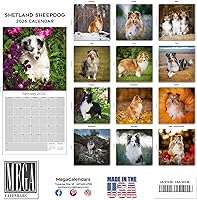 Vista 714 de Razas de Perros 2017