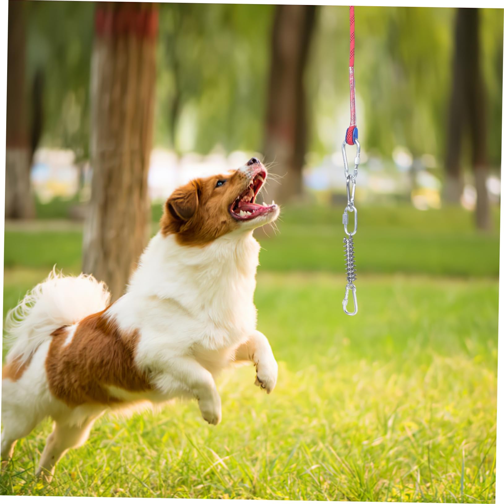 Didiseaon Correa para Perro Cable De Amarre para Perros Cuerda para Acampar para Mascotas para Camping y Actividades Resistente y para