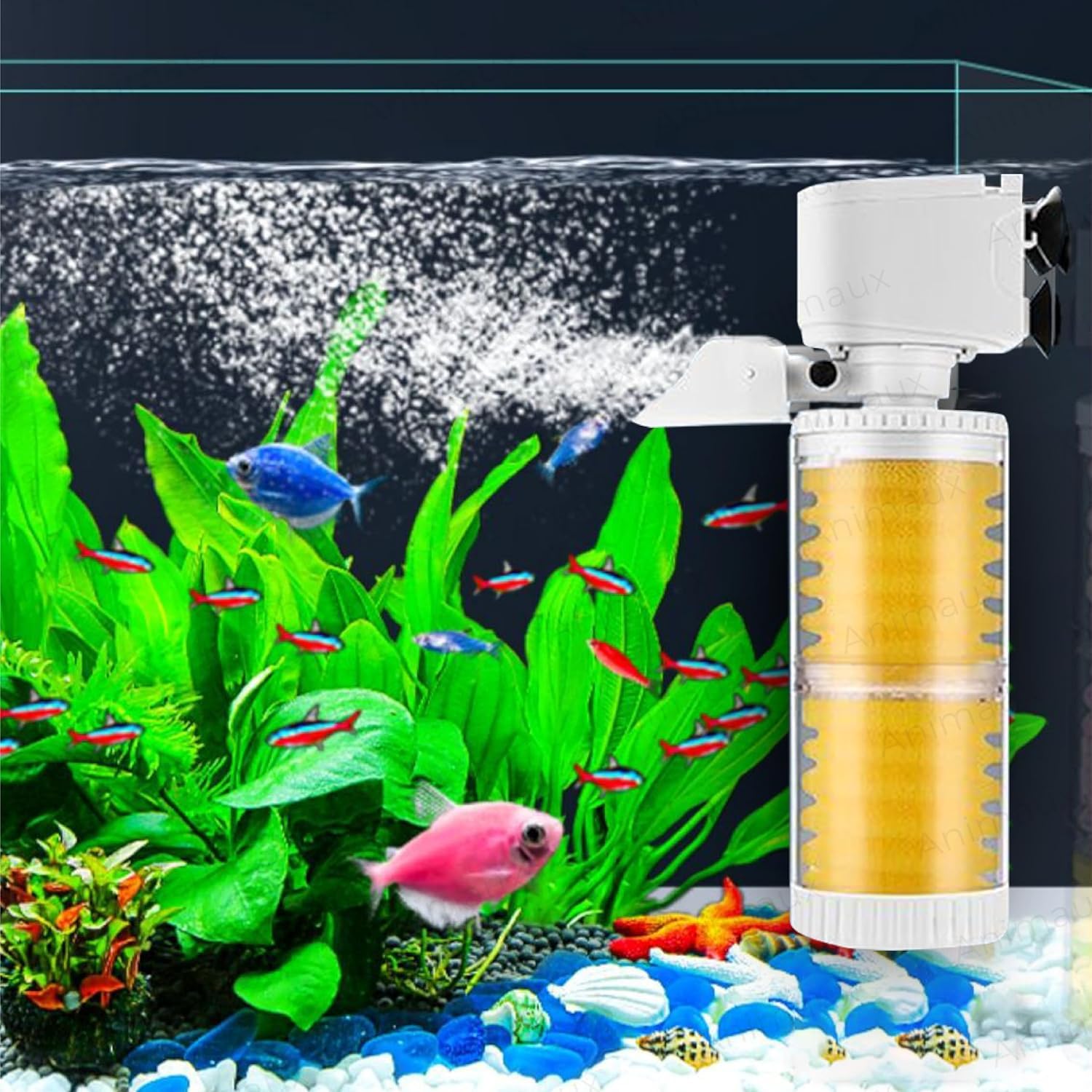 RS 162F Classic White Aquarium Internal Filter 8W/500L/H | Low Power Consumption Submersible Filter for Crystal Clear Water, Ideal for Fish Tanks up to 2 Feet, Suitable for Saltwater and Freshwater (B0D7ZWQB2X) Amazon Price History, Amazon Price Tracker