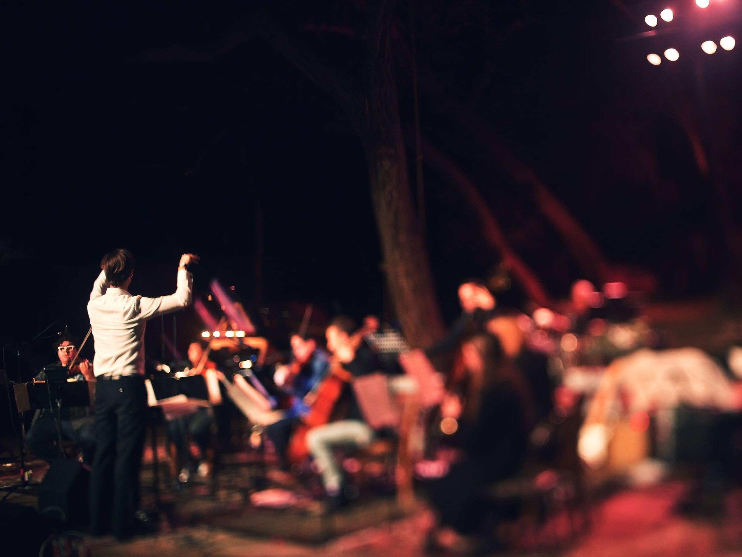 Daniel Clive McCallum