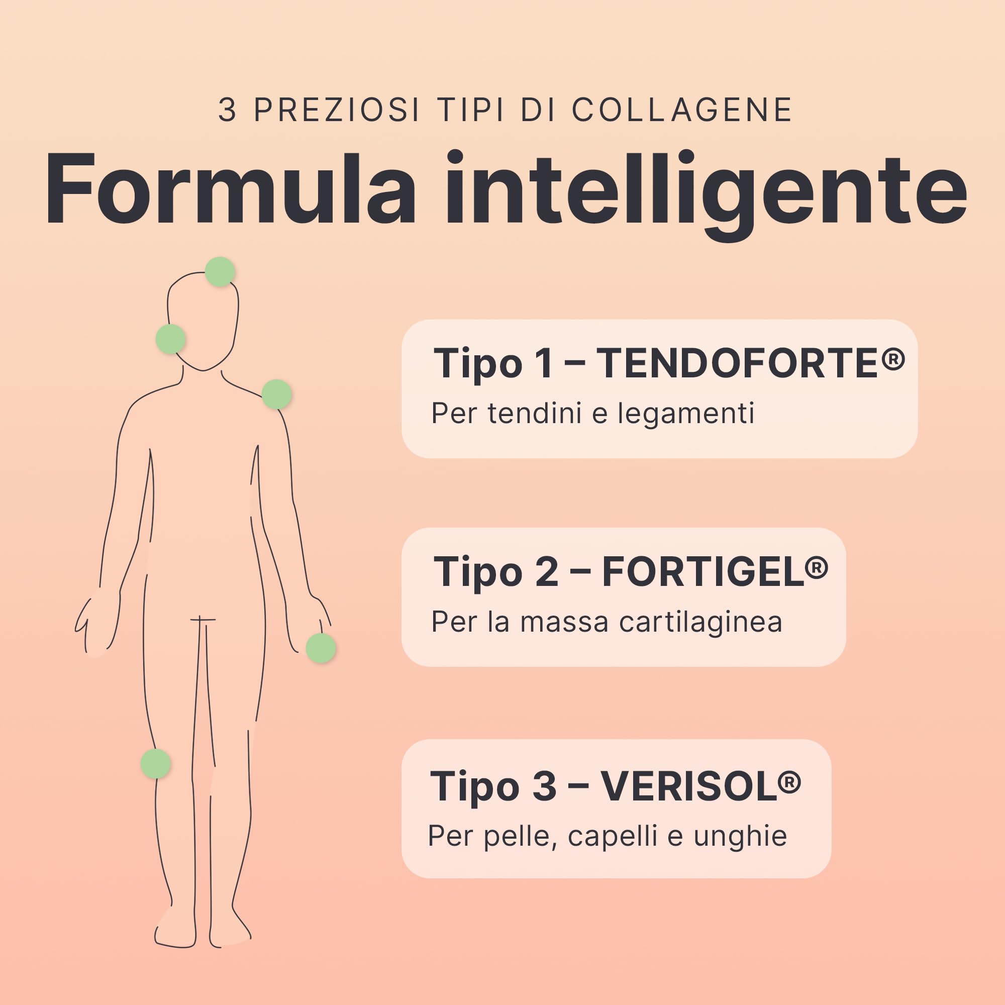 SHEKO Collagene Idrolizzato 450g - Natural Bioactive Collagen Powder - Peptidi di tipo 1, 2, 3 - Collagene in polvere - Qualità purissima - Solubilità ottimale - Proteine in polvere