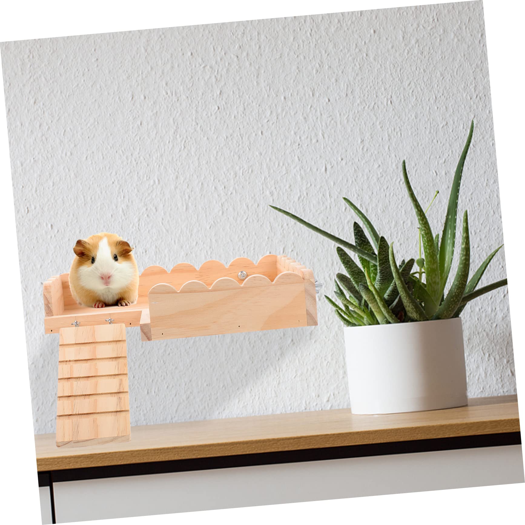 Hamsterplattform mit Leiter Natürliches Kleintierspielzeug für Käfige Einfache Montage mit Schraubdesign für Meerschweinchen und Hamster