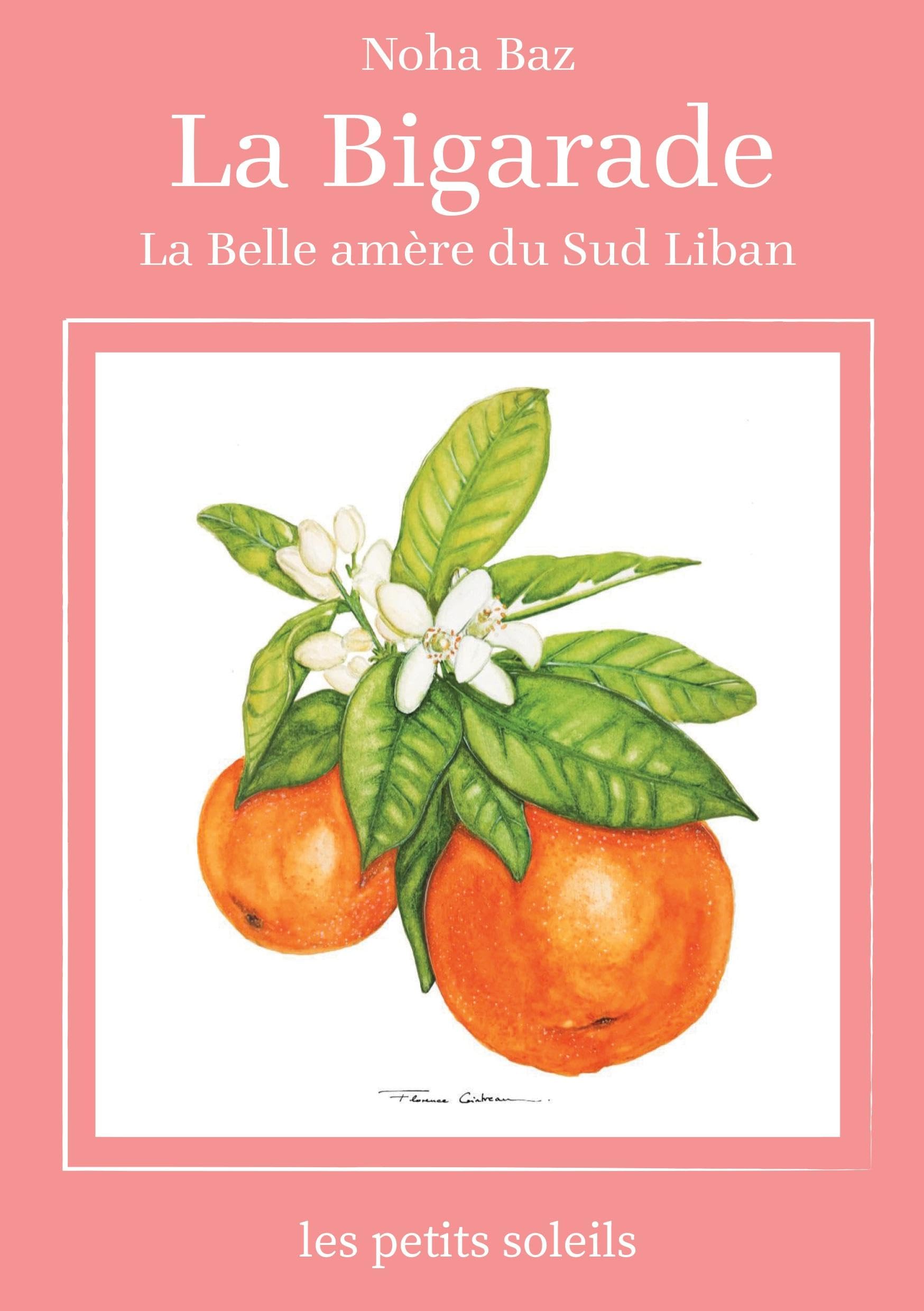 La bigarade: La belle amère du sud
