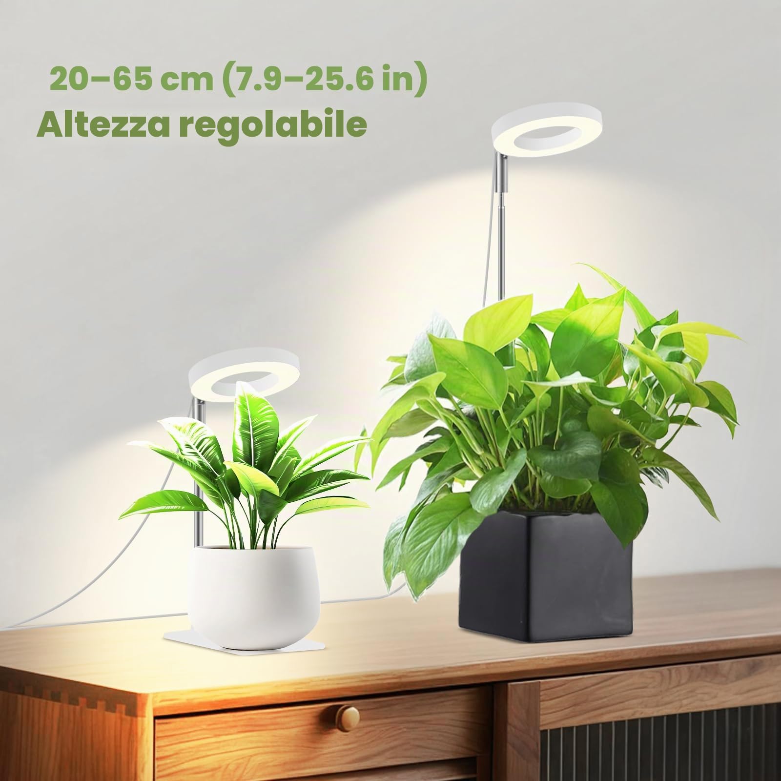 Lampada per piante da interno 12V, lampada crescita LED a spettro completo con luce rossa 660 nm, piccola grow light halo con base sotto vaso, dimmerabile con timer, 6W, PPFD 118 µmol/s/m²@15 cm
