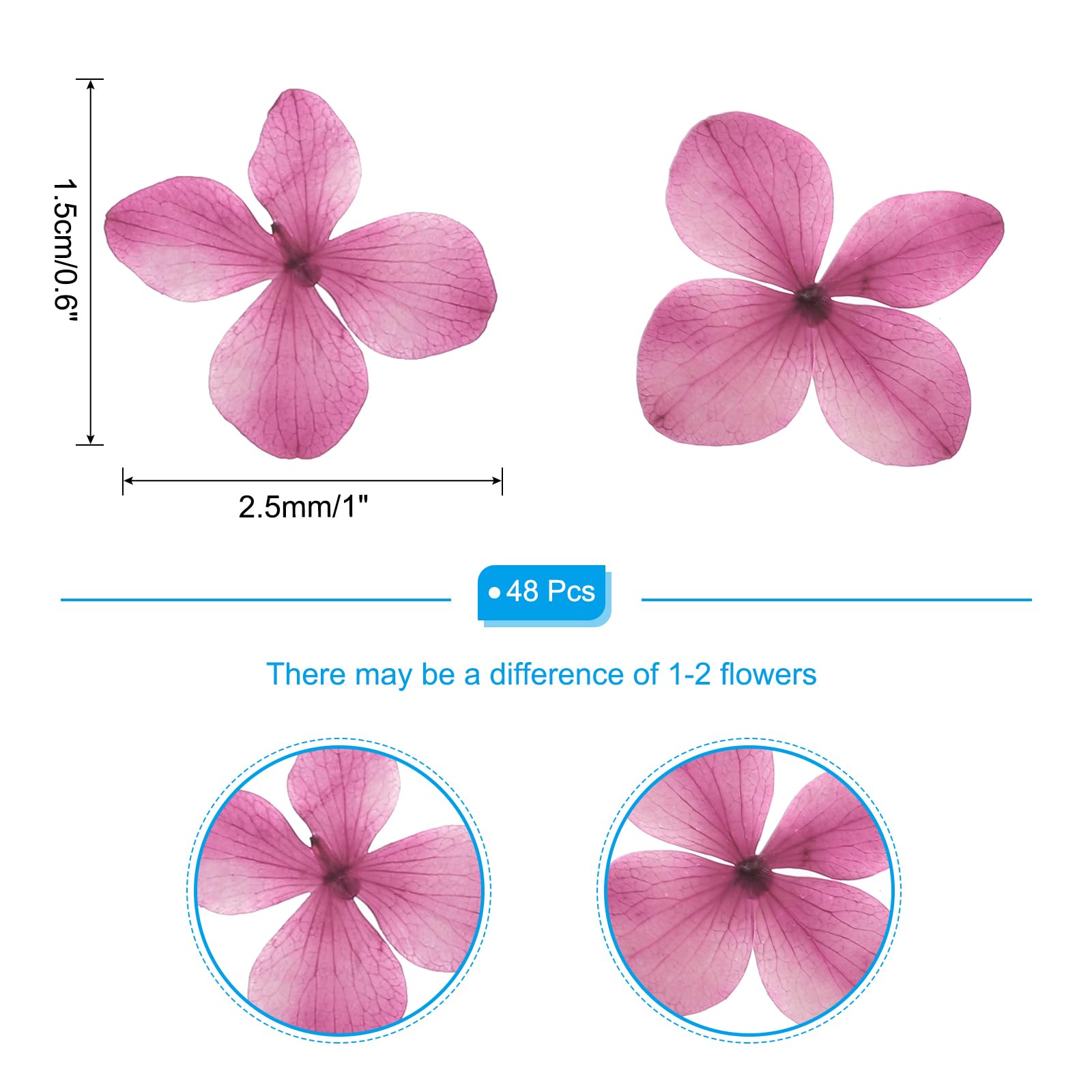 PATIKIL Dried Pressed Flower - Image 2